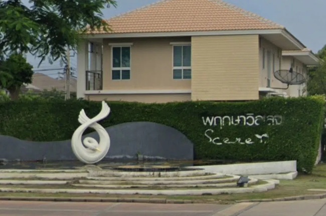 banner-project-details